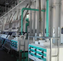 Quinoa Processing Plant