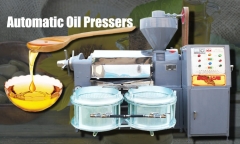 Oil Press Machine / High Oil Extraction machine